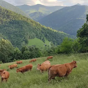 https://la-grange-de-lours.midi-pyreneeshotels.com
